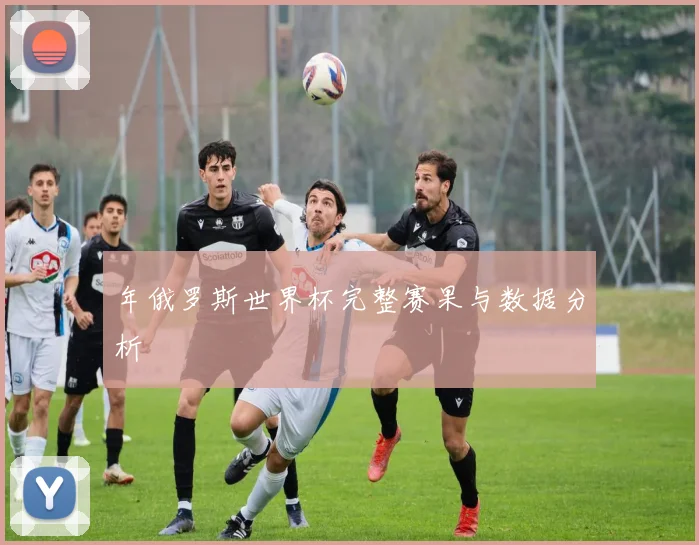 年俄罗斯世界杯完整赛果与数据分析