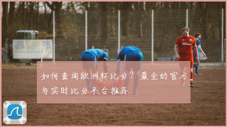 如何查询欧洲杯比分？最全的官方与实时比分平台推荐